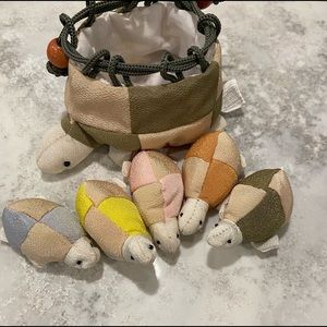 Momma turtle and babies in a bag.